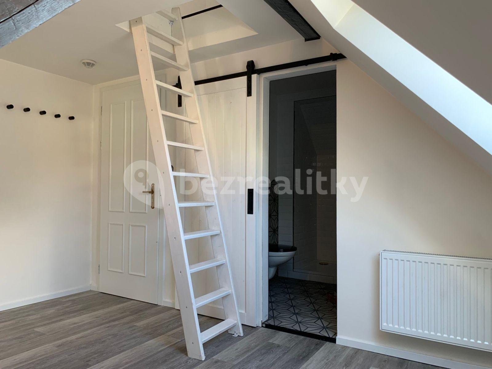 1 bedroom with open-plan kitchen flat to rent, 42 m², Josefův Důl, Liberecký Region