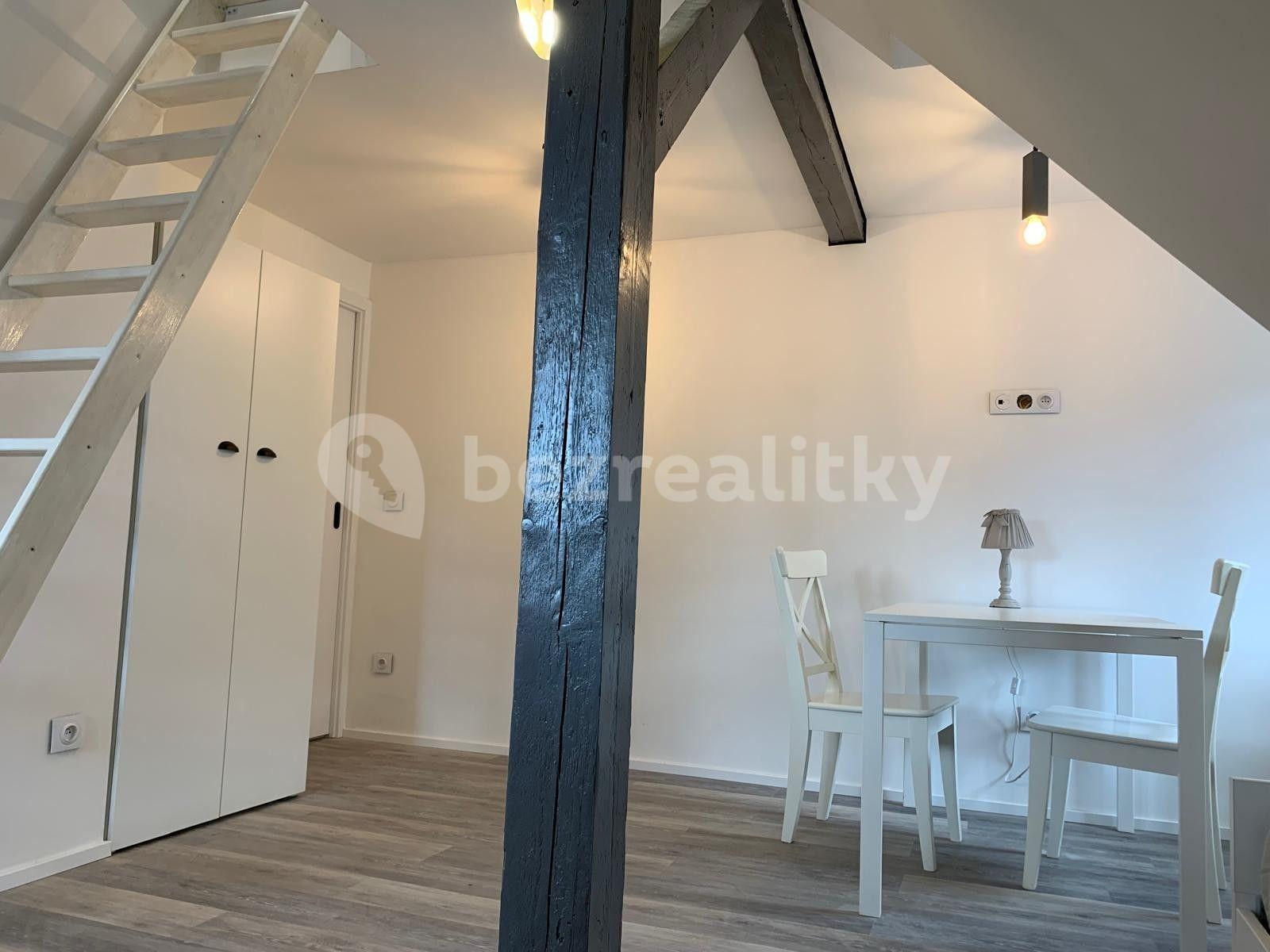 1 bedroom with open-plan kitchen flat to rent, 43 m², Josefův Důl, Liberecký Region