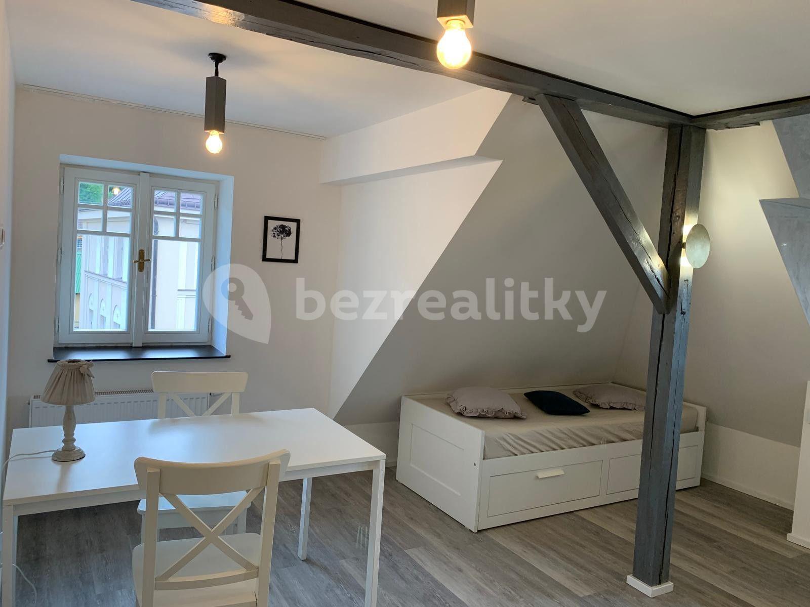 1 bedroom with open-plan kitchen flat to rent, 43 m², Josefův Důl, Liberecký Region