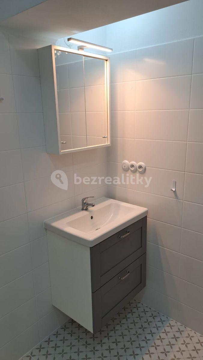 2 bedroom with open-plan kitchen flat to rent, 67 m², Letovská, Prague, Prague