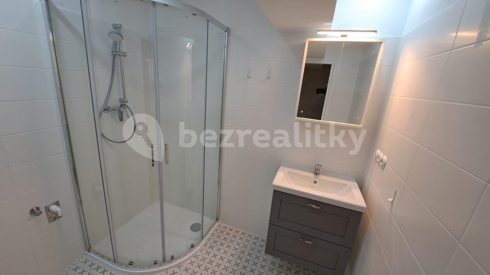 2 bedroom with open-plan kitchen flat to rent, 67 m², Letovská, Prague, Prague