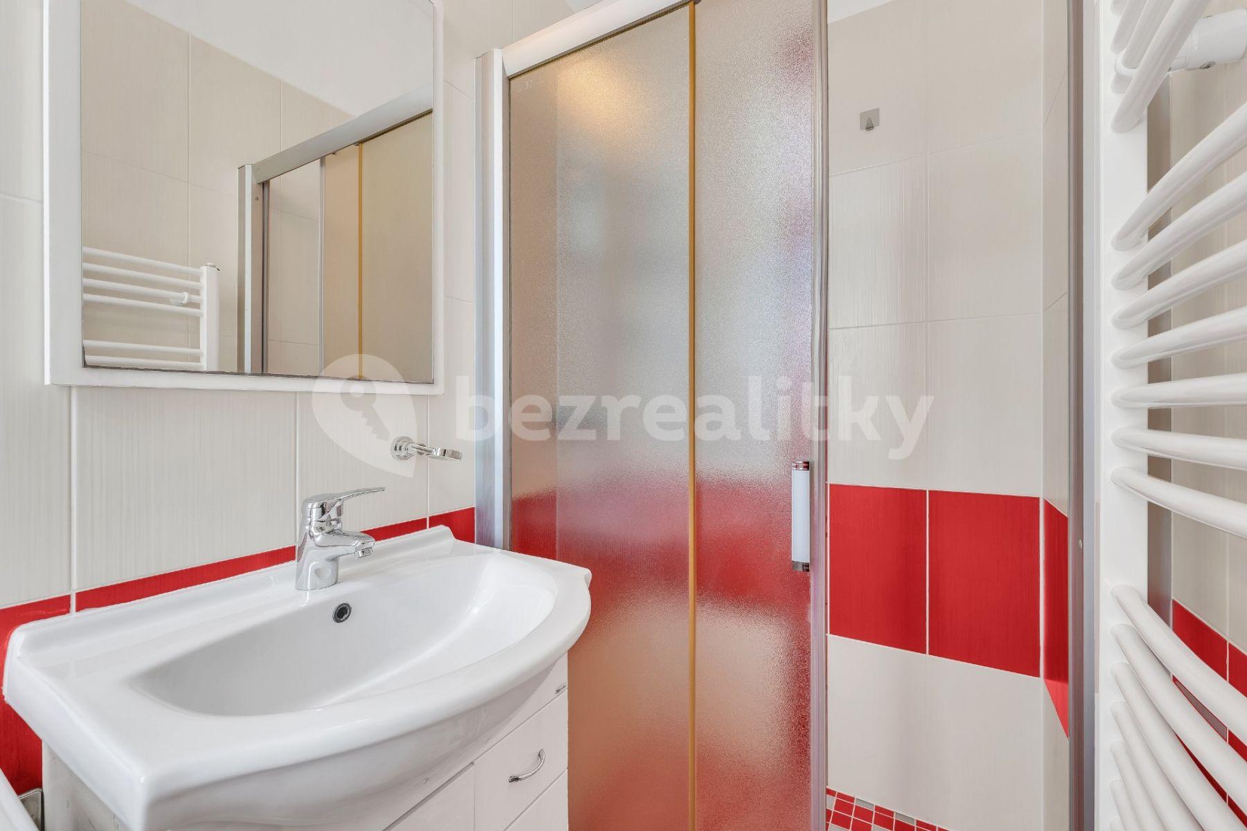 1 bedroom flat to rent, 41 m², Bořivojova, Prague, Prague