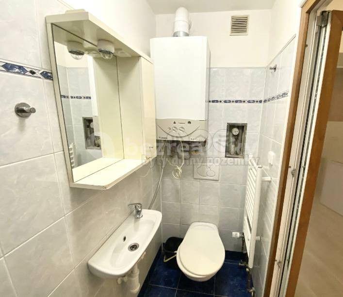 Studio flat to rent, 21 m², Vratislavova, Prague, Prague