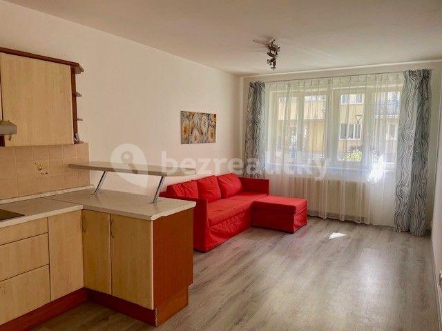 1 bedroom with open-plan kitchen flat to rent, 49 m², Lipnická, Prague, Prague