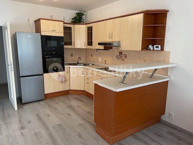 1 bedroom with open-plan kitchen flat to rent, 49 m², Lipnická, Prague, Prague