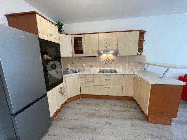 1 bedroom with open-plan kitchen flat to rent, 49 m², Lipnická, Prague, Prague