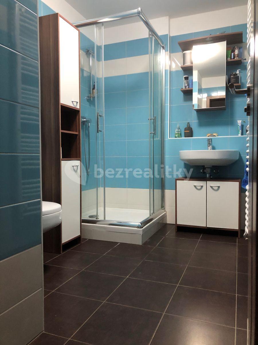 1 bedroom with open-plan kitchen flat to rent, 49 m², Mazurská, Prague, Prague