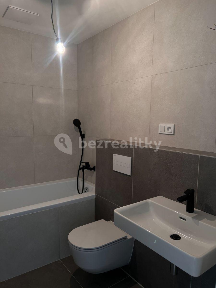 1 bedroom with open-plan kitchen flat to rent, 60 m², Sokolova, Prague, Prague