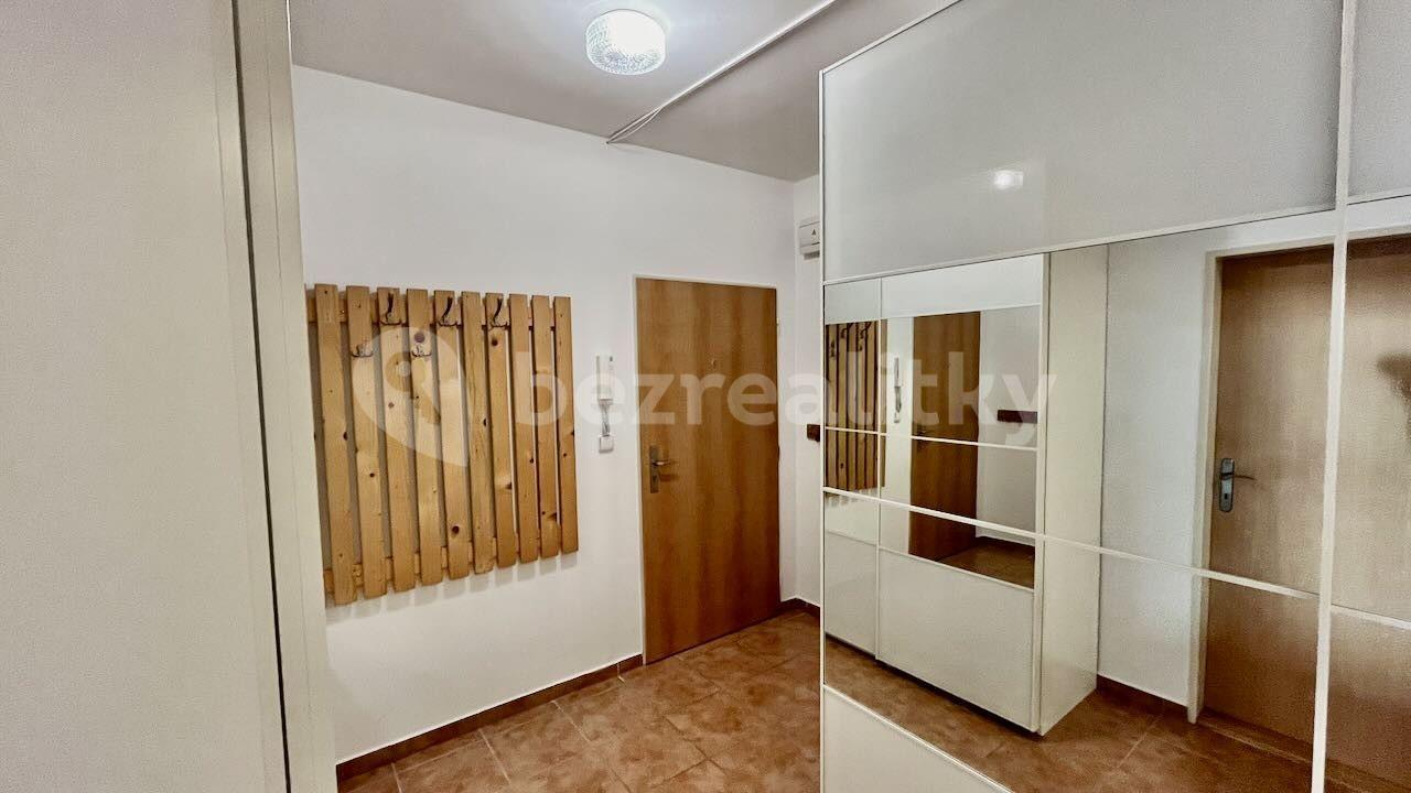 1 bedroom with open-plan kitchen flat to rent, 68 m², Hakenova, Prague, Prague