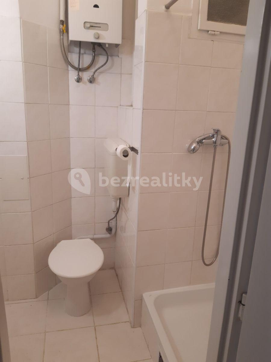 Studio flat to rent, 23 m², Hartigova, Prague, Prague