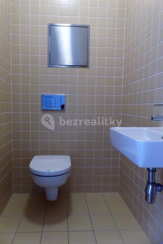 1 bedroom with open-plan kitchen flat to rent, 72 m², U Uranie, Prague, Prague