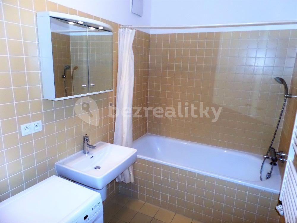 1 bedroom with open-plan kitchen flat to rent, 72 m², U Uranie, Prague, Prague