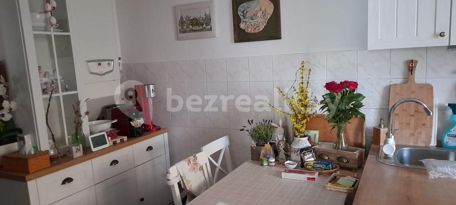 1 bedroom with open-plan kitchen flat to rent, 48 m², Purkyňova, Děčín, Ústecký Region