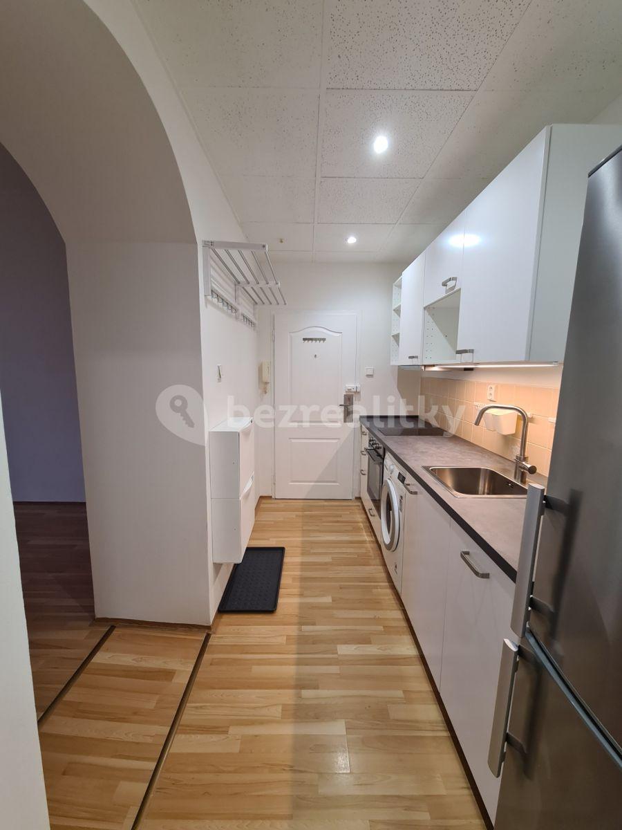 1 bedroom with open-plan kitchen flat to rent, 48 m², Pod Karlovem, Prague, Prague