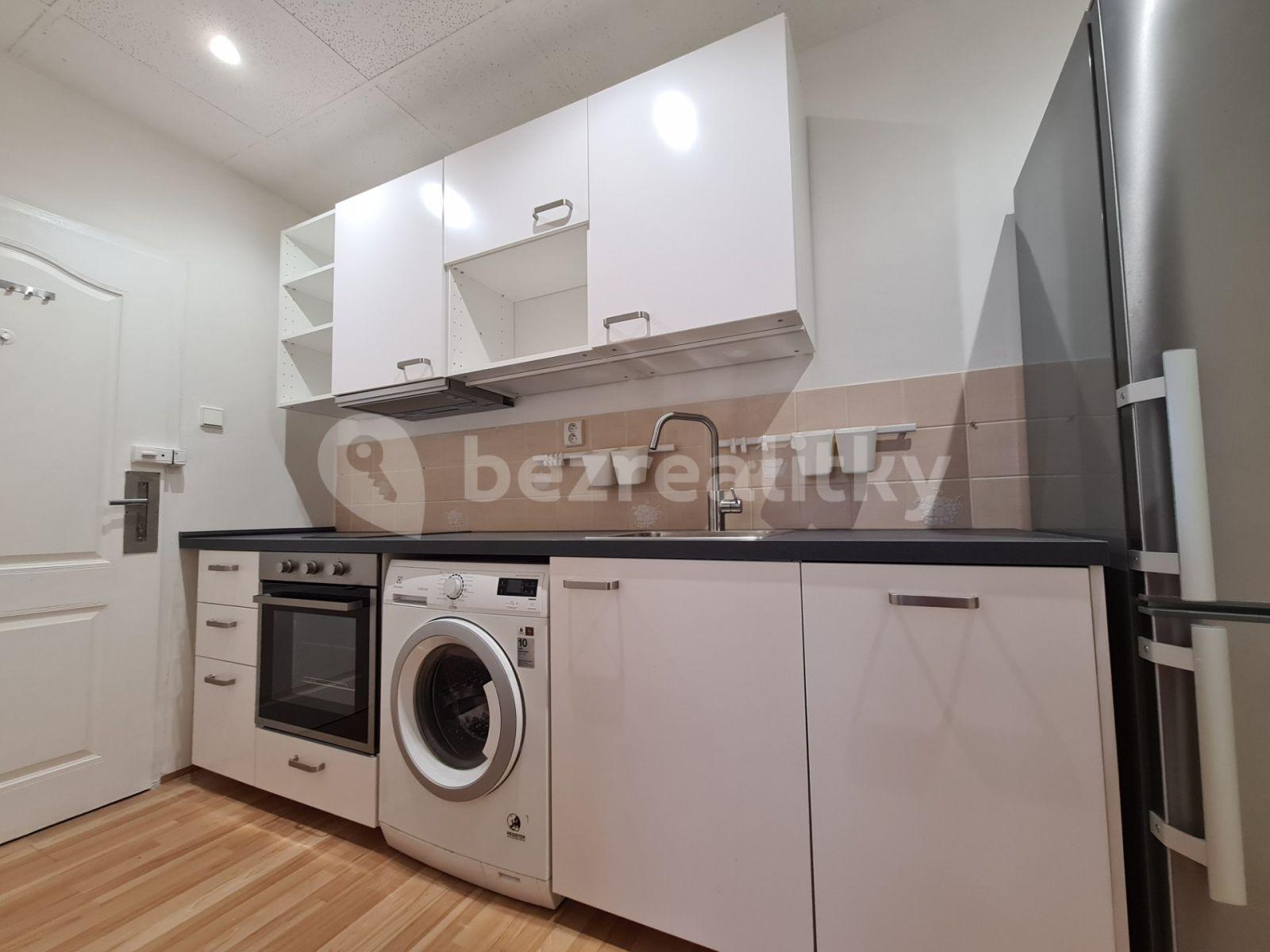 1 bedroom with open-plan kitchen flat to rent, 48 m², Pod Karlovem, Prague, Prague