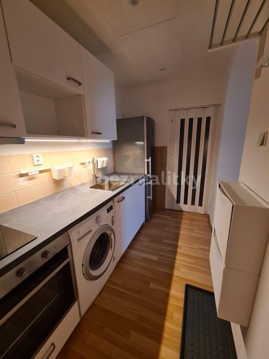 1 bedroom with open-plan kitchen flat to rent, 48 m², Pod Karlovem, Prague, Prague