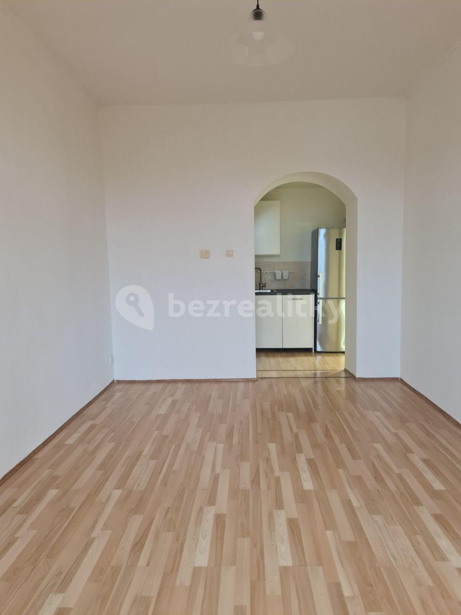 1 bedroom with open-plan kitchen flat to rent, 48 m², Pod Karlovem, Prague, Prague