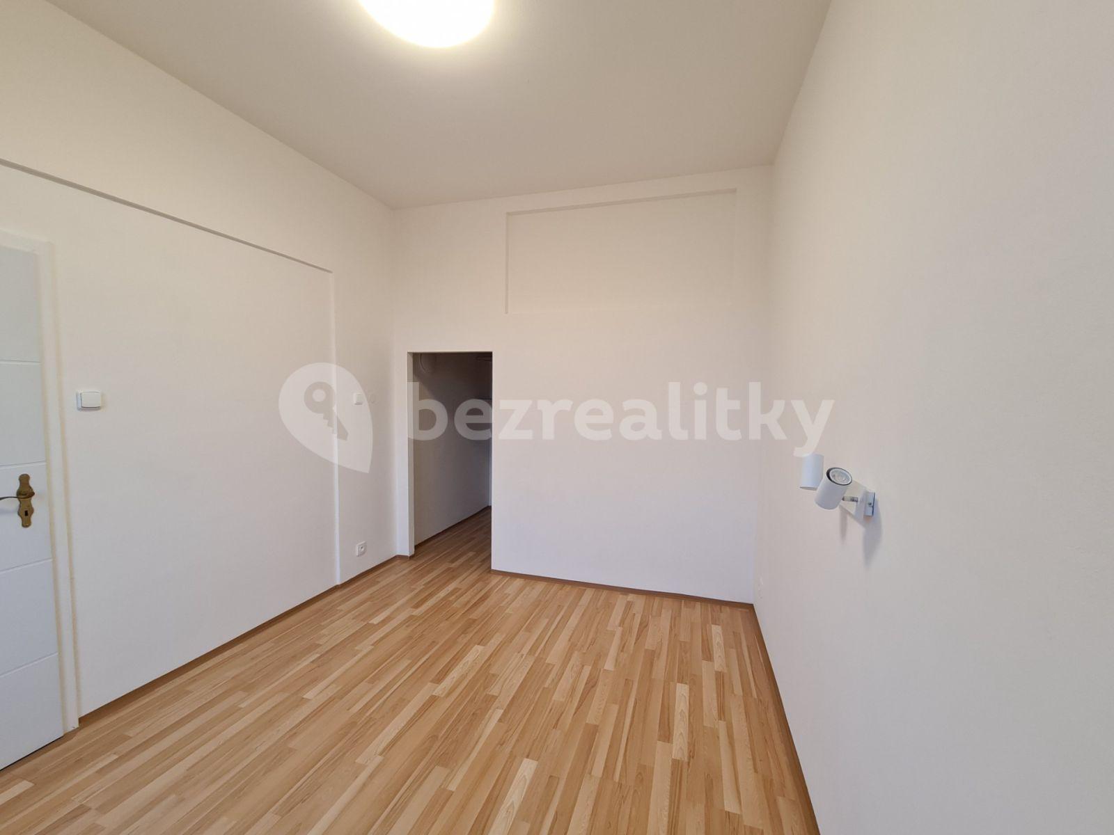 1 bedroom with open-plan kitchen flat to rent, 48 m², Pod Karlovem, Prague, Prague