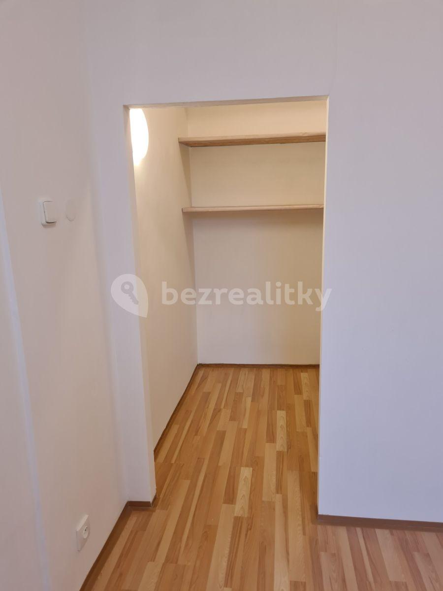 1 bedroom with open-plan kitchen flat to rent, 48 m², Pod Karlovem, Prague, Prague