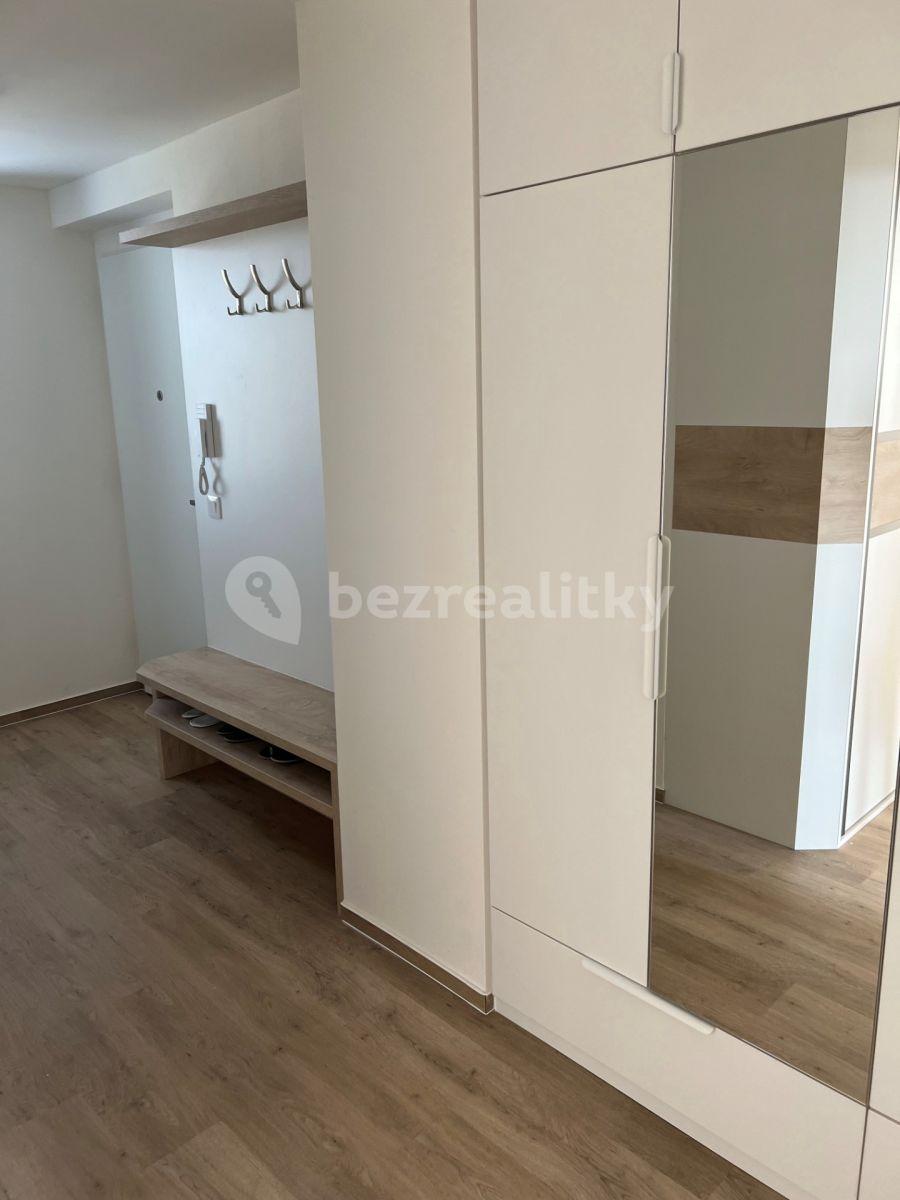 1 bedroom with open-plan kitchen flat to rent, 60 m², Sokolova, Brno, Jihomoravský Region