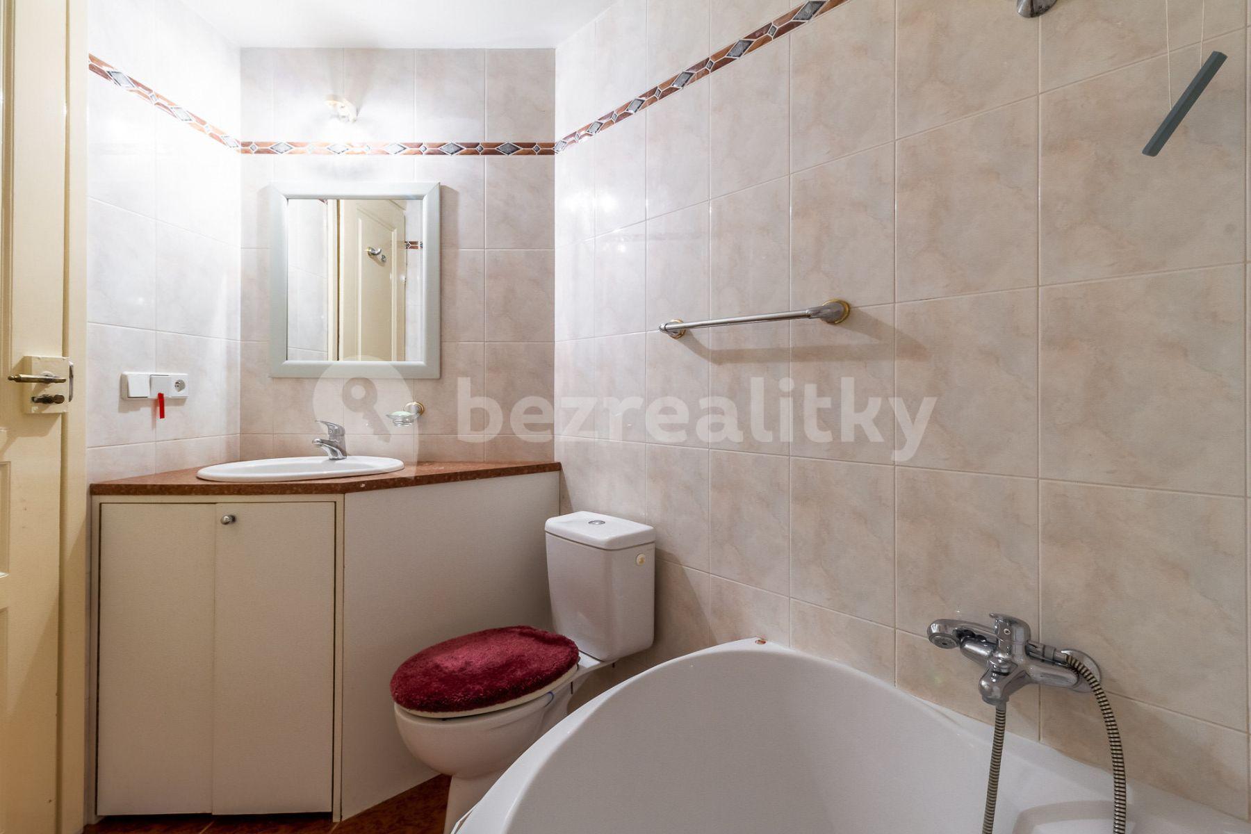 1 bedroom with open-plan kitchen flat to rent, 45 m², Za Poříčskou bránou, Prague, Prague