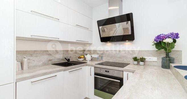 1 bedroom with open-plan kitchen flat for sale, 60 m², Drnovská, Prague, Prague