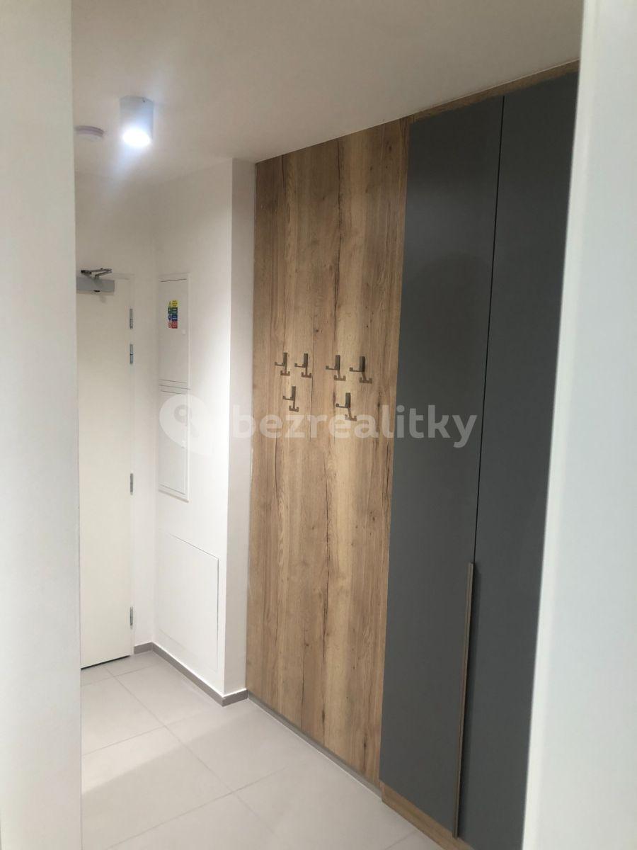 2 bedroom with open-plan kitchen flat to rent, 66 m², U Viktorie, Prague, Prague