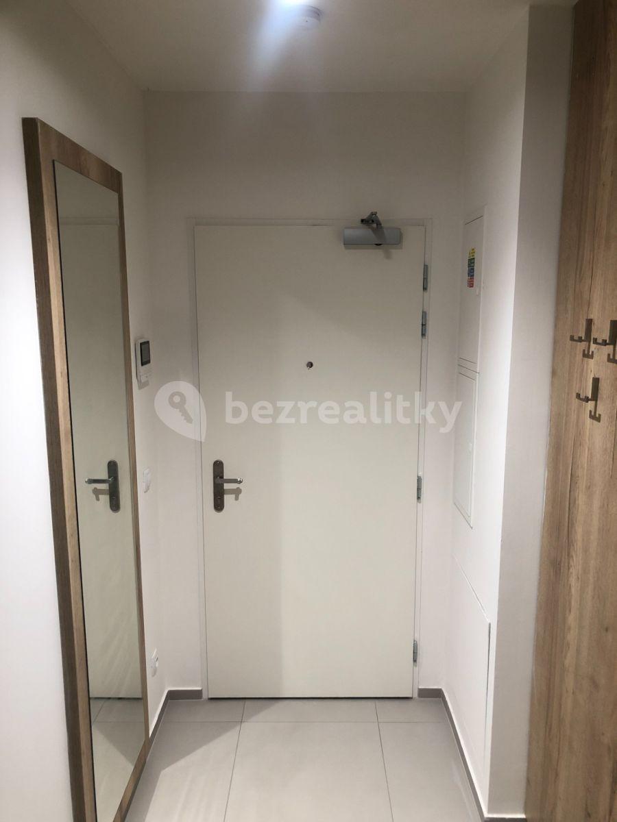 2 bedroom with open-plan kitchen flat to rent, 66 m², U Viktorie, Prague, Prague