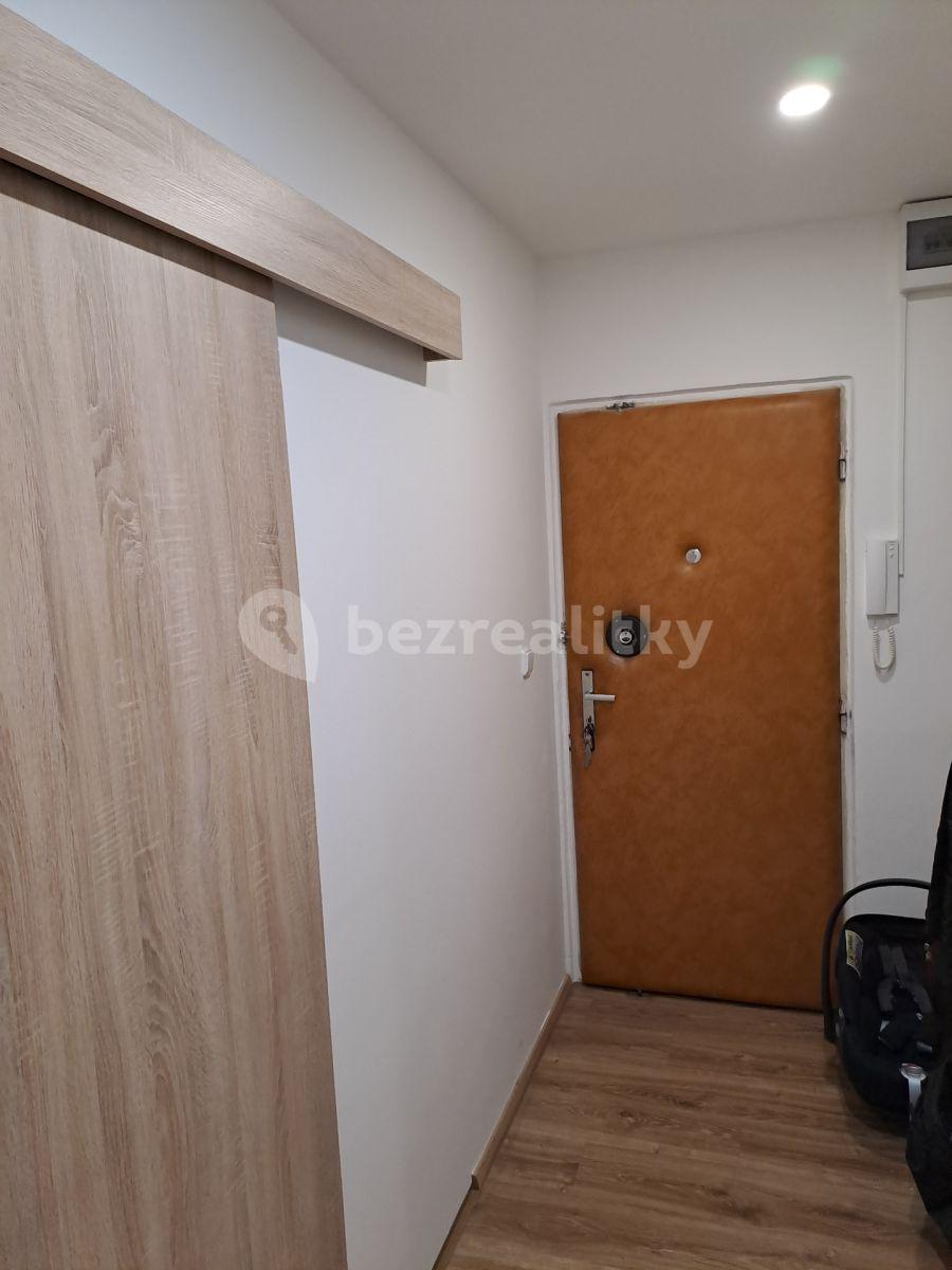 1 bedroom with open-plan kitchen flat to rent, 41 m², Na Strži, Prague, Prague