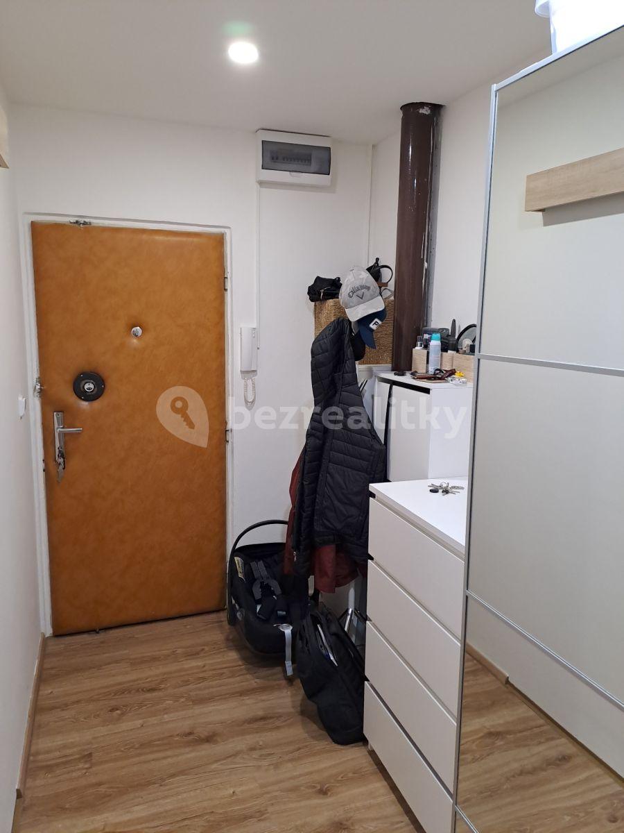 1 bedroom with open-plan kitchen flat to rent, 41 m², Na Strži, Prague, Prague