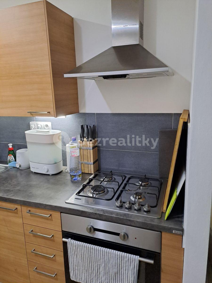 1 bedroom with open-plan kitchen flat to rent, 41 m², Na Strži, Prague, Prague