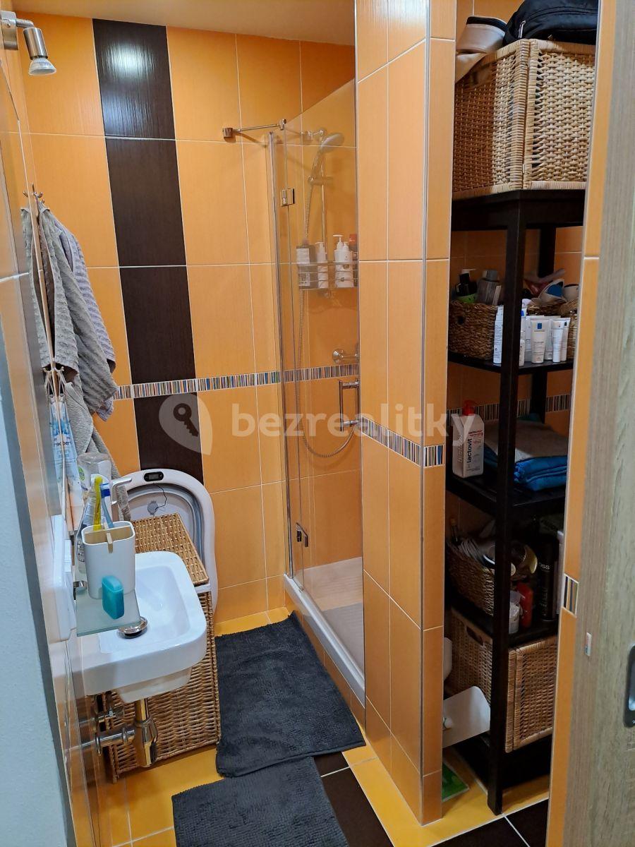 1 bedroom with open-plan kitchen flat to rent, 41 m², Na Strži, Prague, Prague