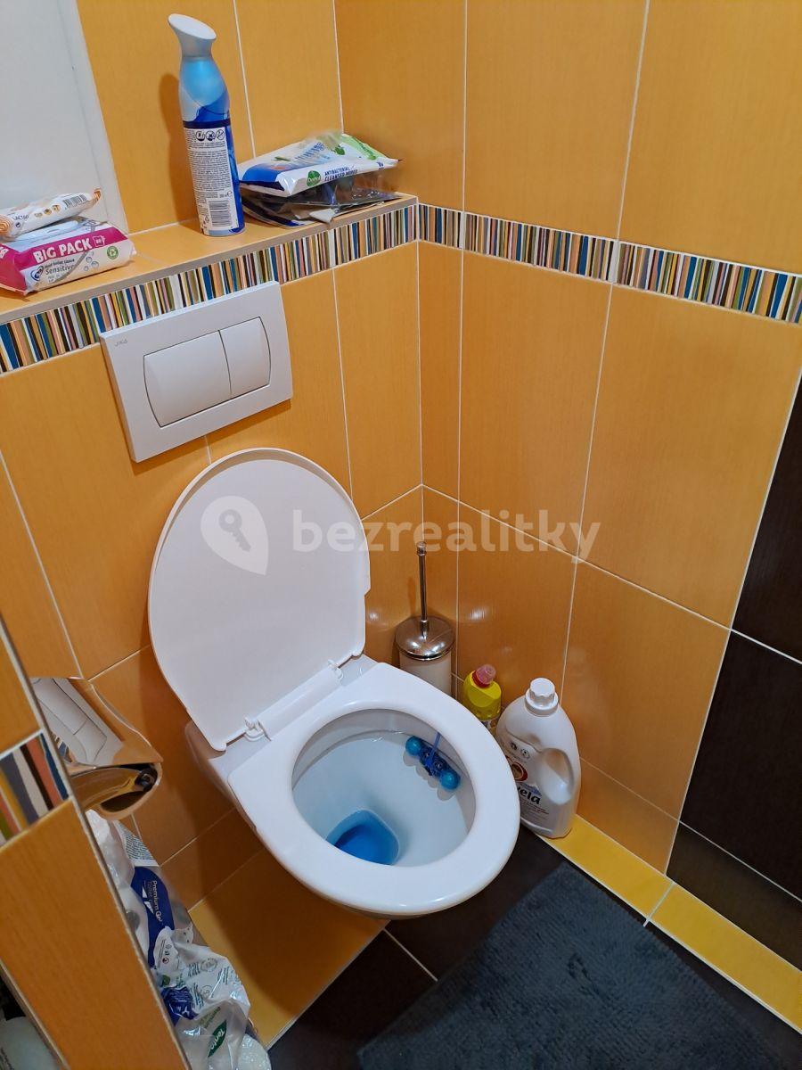 1 bedroom with open-plan kitchen flat to rent, 41 m², Na Strži, Prague, Prague