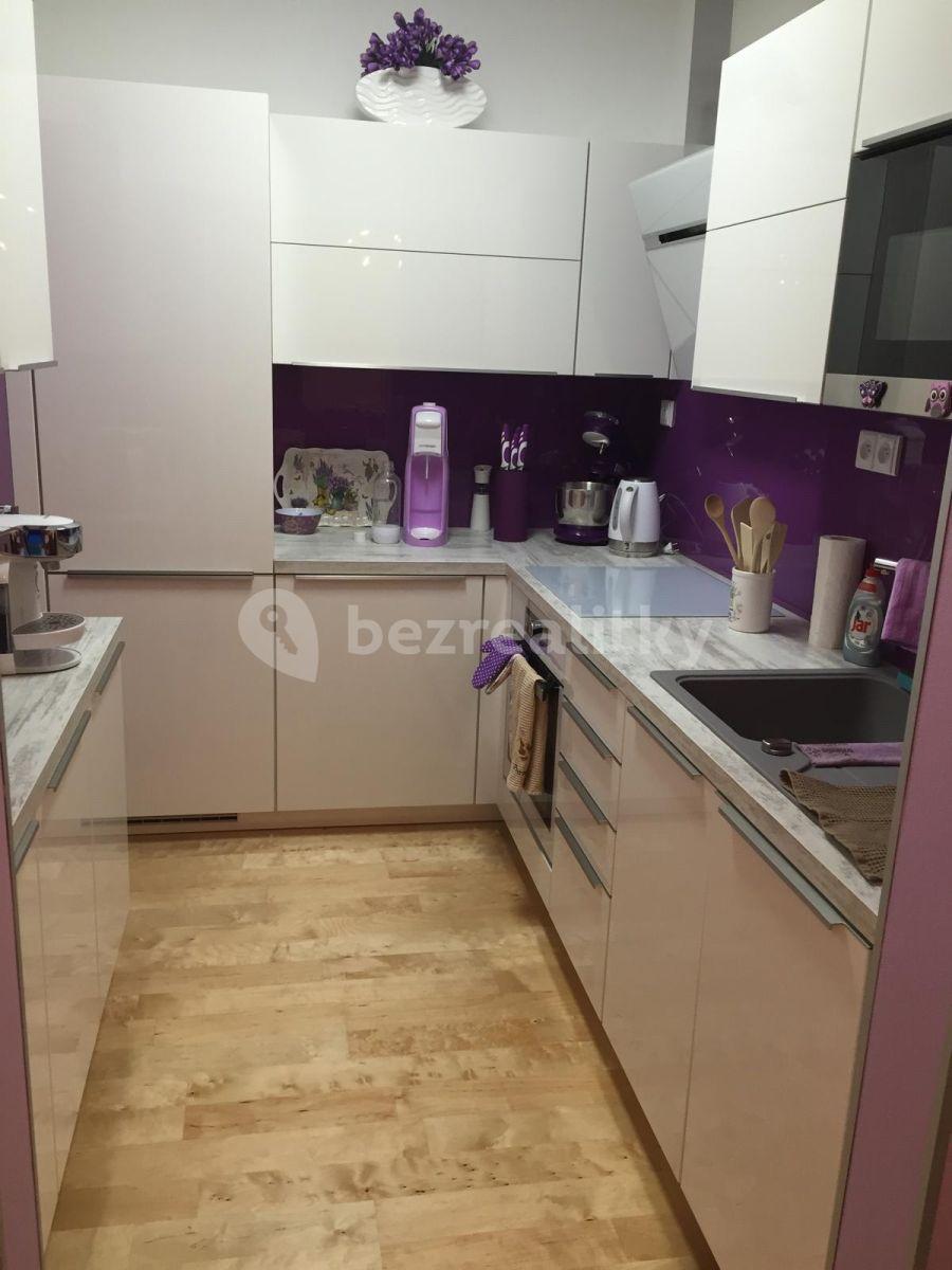 1 bedroom with open-plan kitchen flat to rent, 60 m², Masarykova, Hluboká nad Vltavou, Jihočeský Region