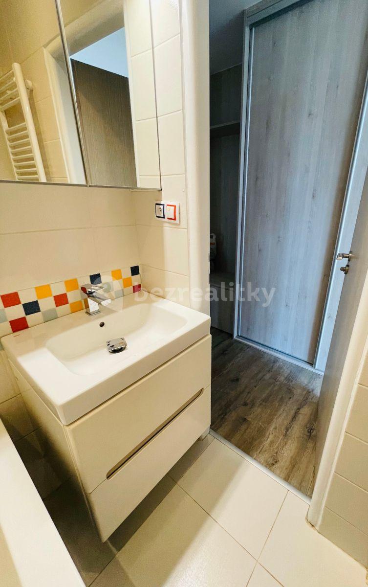 2 bedroom with open-plan kitchen flat to rent, 59 m², Hlavní, Prague, Prague