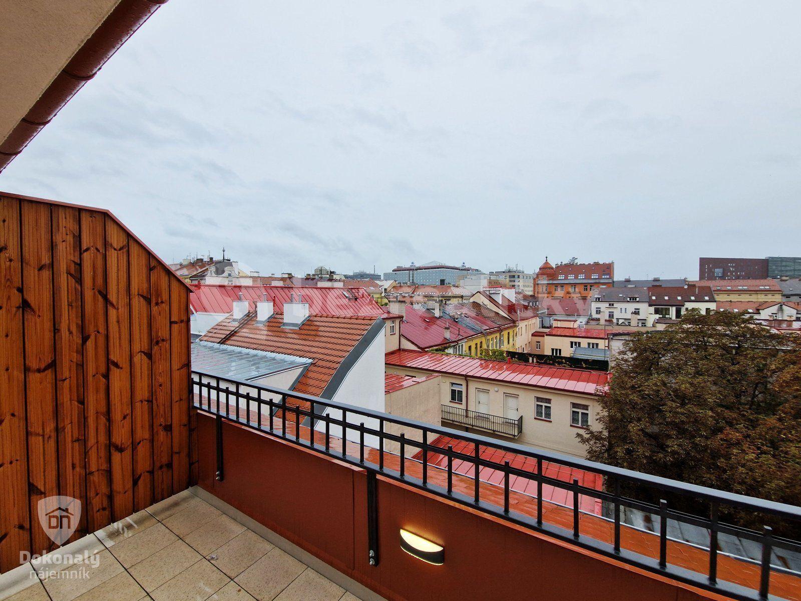 1 bedroom with open-plan kitchen flat to rent, 75 m², Křižíkova, Prague, Prague