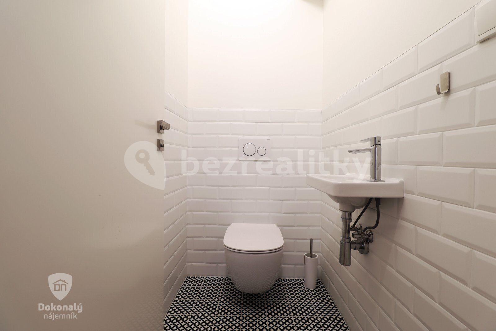 1 bedroom with open-plan kitchen flat to rent, 75 m², Křižíkova, Prague, Prague