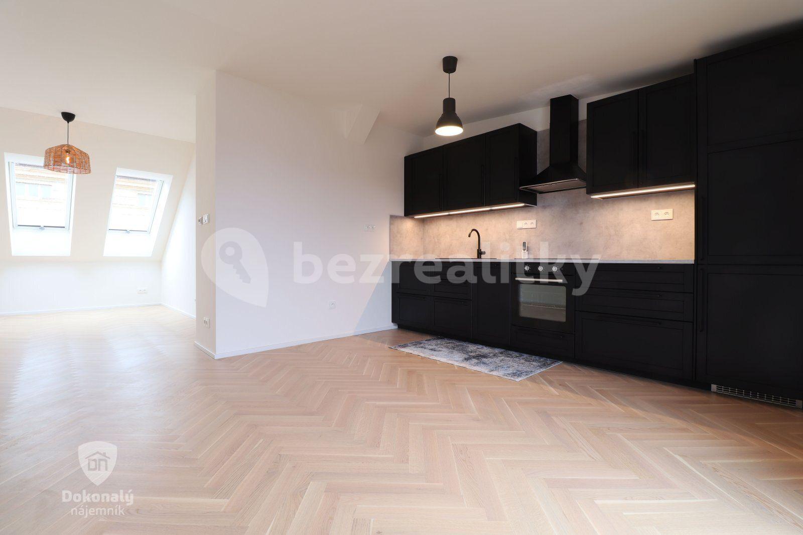 1 bedroom with open-plan kitchen flat to rent, 75 m², Křižíkova, Prague, Prague