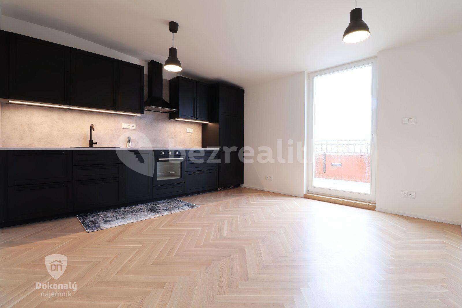 1 bedroom with open-plan kitchen flat to rent, 75 m², Křižíkova, Prague, Prague