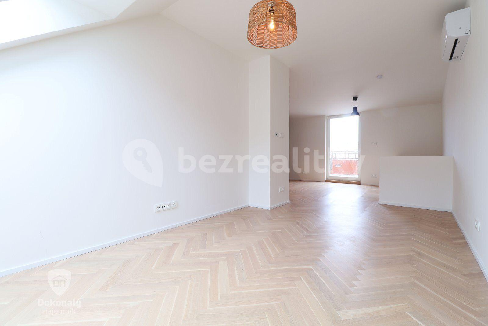 1 bedroom with open-plan kitchen flat to rent, 75 m², Křižíkova, Prague, Prague