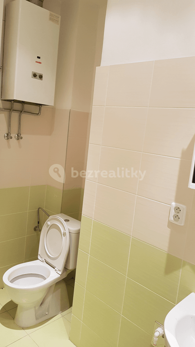 1 bedroom with open-plan kitchen flat for sale, 44 m², Žerotínova, Prague, Prague