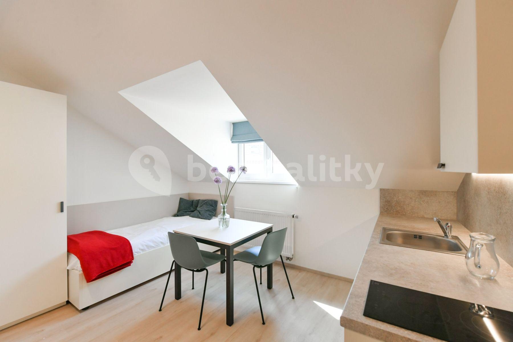 Studio flat to rent, 18 m², Na Ostrůvku, Prague, Prague