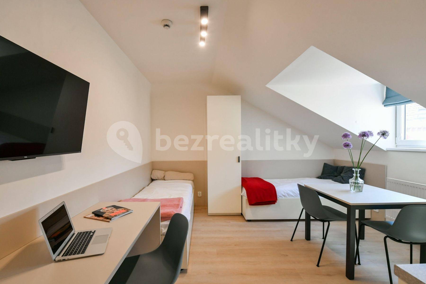 Studio flat to rent, 18 m², Na Ostrůvku, Prague, Prague