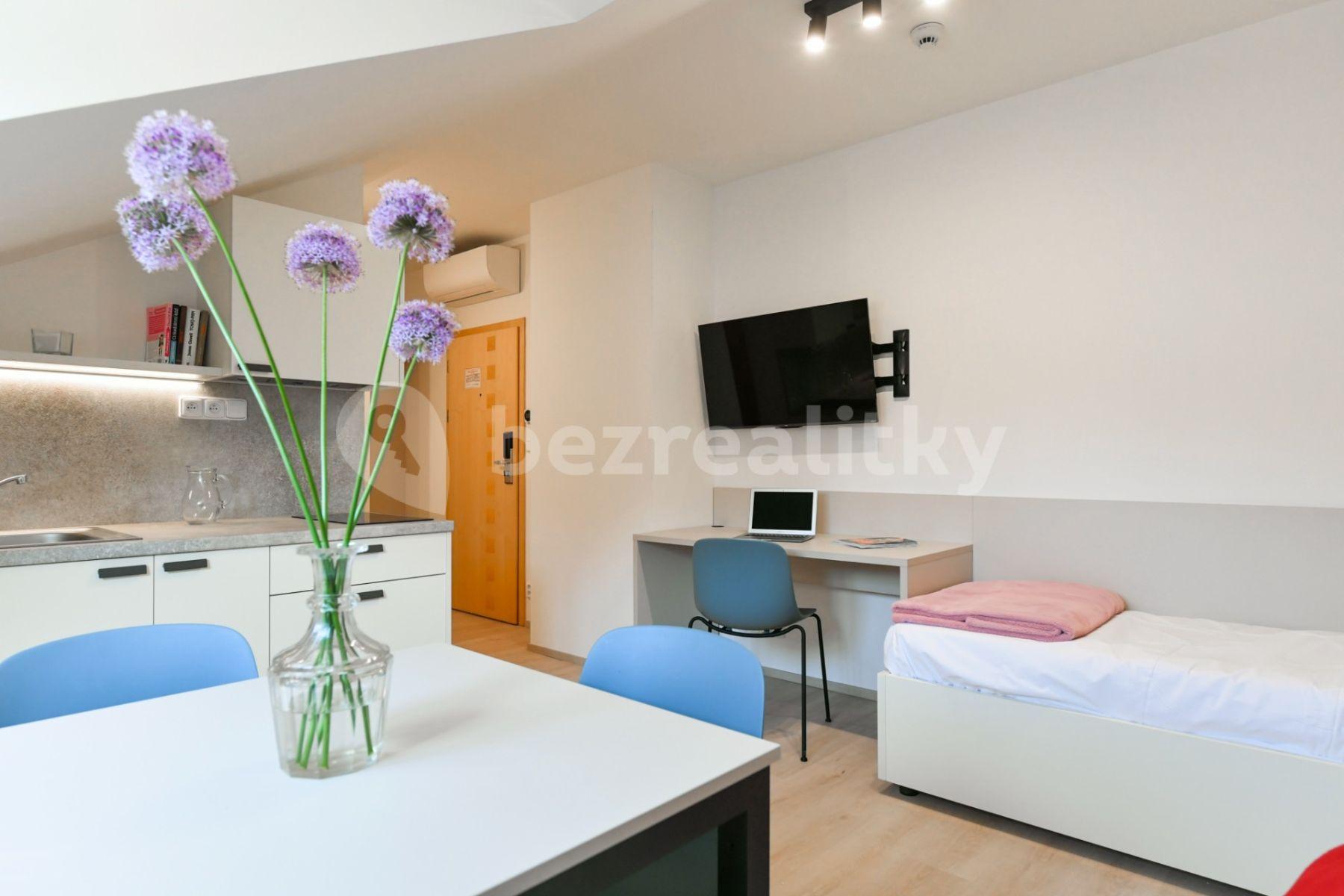 Studio flat to rent, 18 m², Na Ostrůvku, Prague, Prague