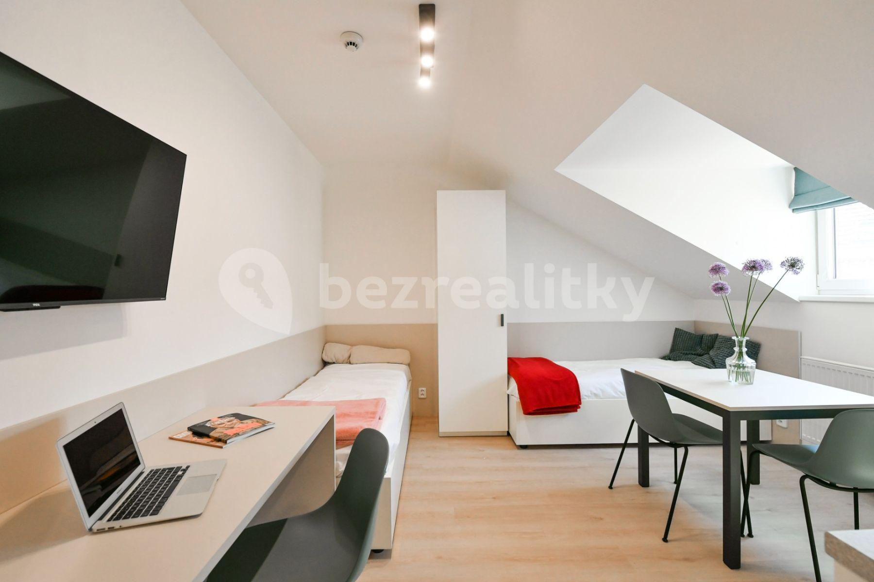 Studio flat to rent, 18 m², Na Ostrůvku, Prague, Prague