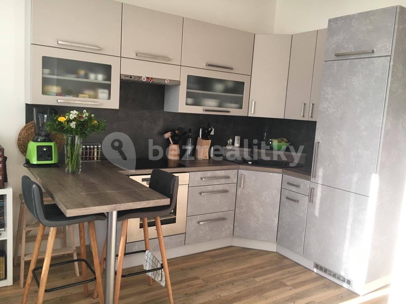 1 bedroom with open-plan kitchen flat to rent, 46 m², Hradecká, Prague, Prague