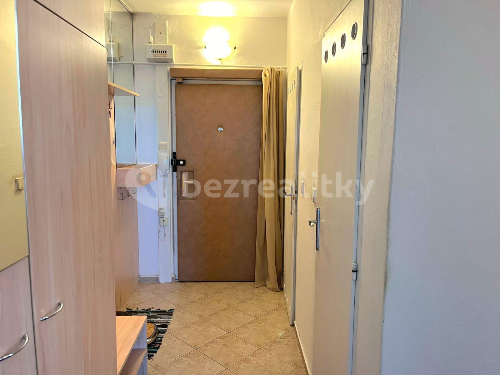 1 bedroom with open-plan kitchen flat to rent, 48 m², Oblá, Brno, Jihomoravský Region