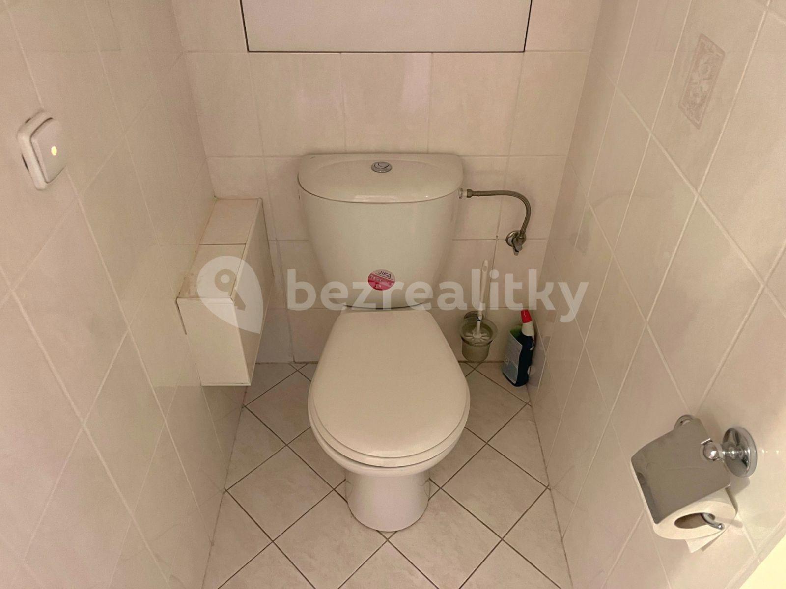 1 bedroom with open-plan kitchen flat to rent, 48 m², Oblá, Brno, Jihomoravský Region