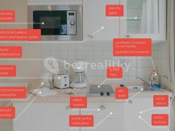 Studio flat to rent, 20 m², Nuselská, Prague, Prague