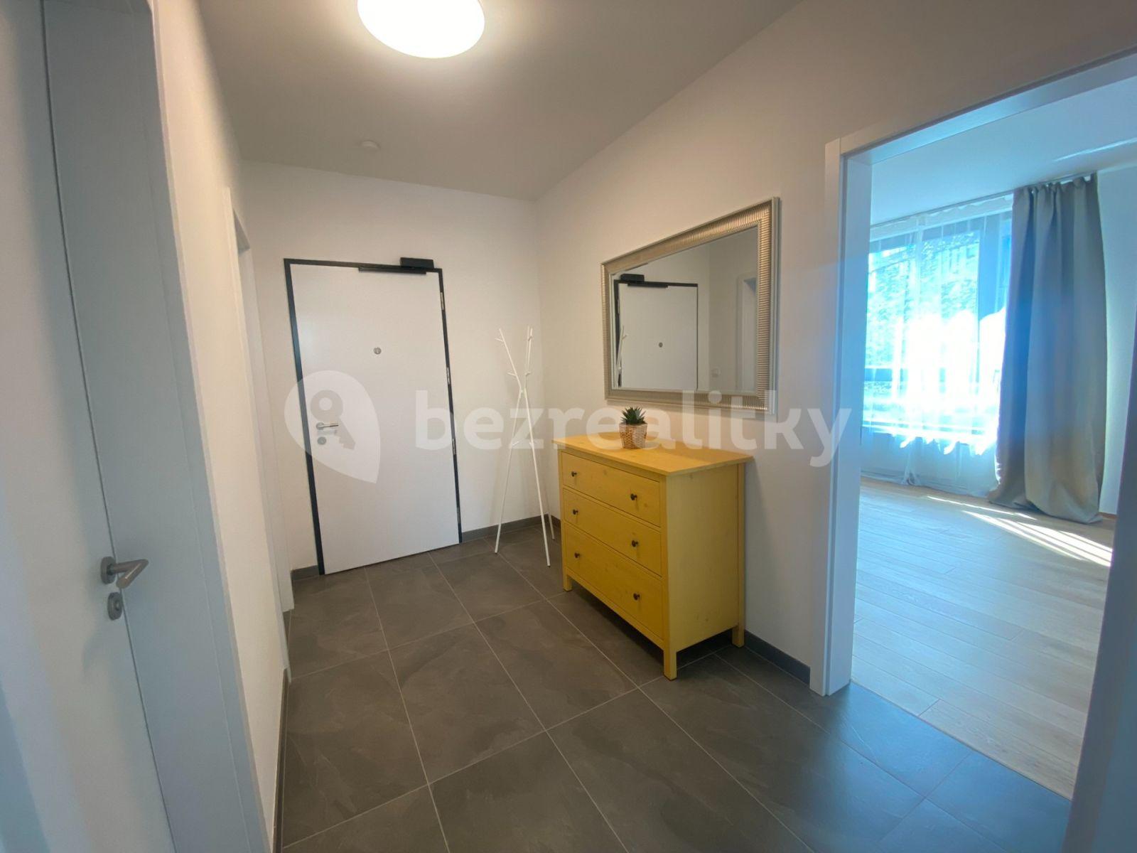 1 bedroom with open-plan kitchen flat to rent, 57 m², Vladimíra Kobranova, Prague, Prague